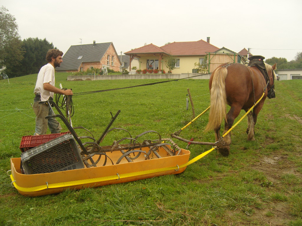 Traineau, transport de materiel