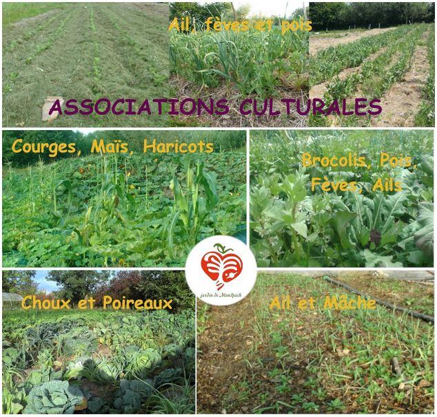 028 couverts vegetaux