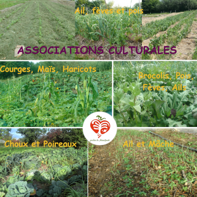 Associations culturales